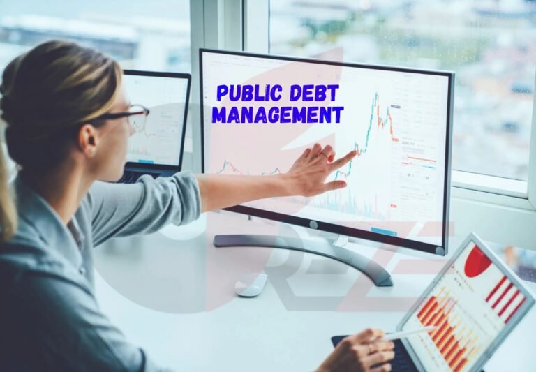 Public Debt Management