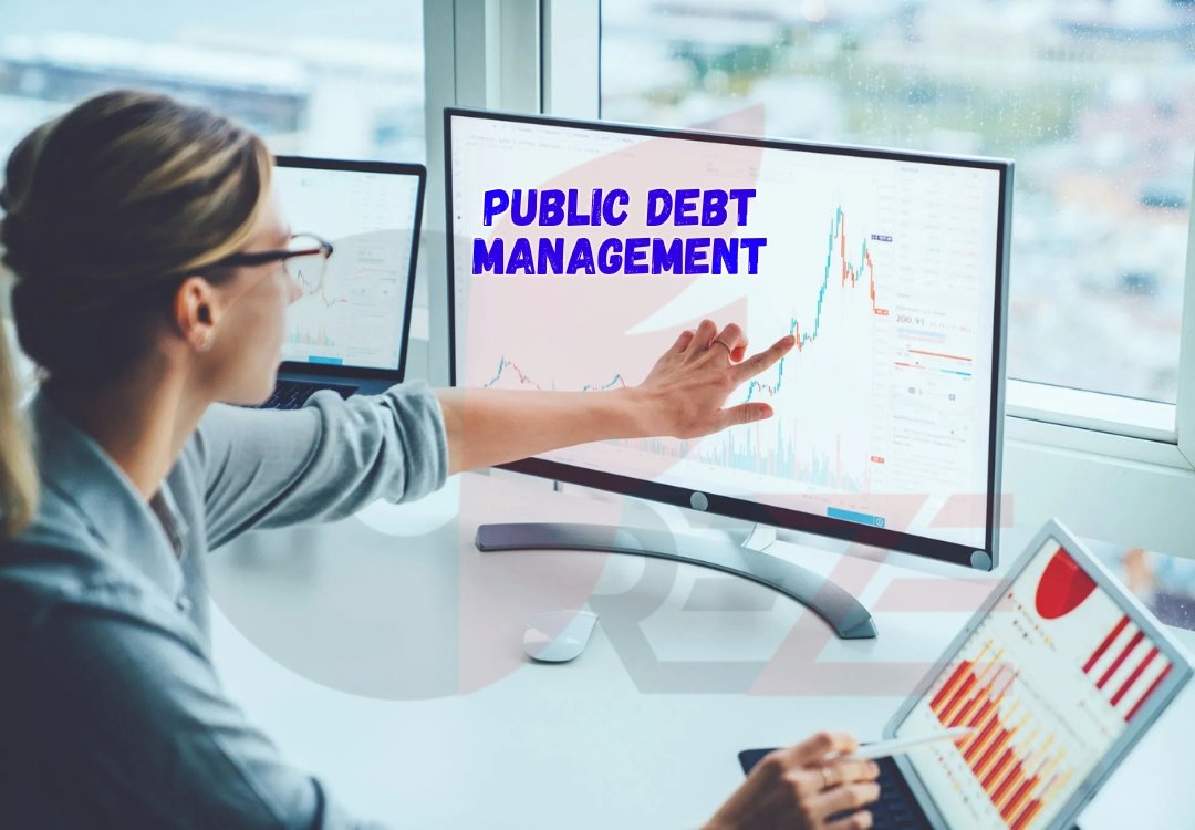 Public Debt Management