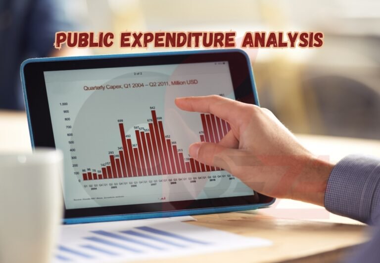 Public Expenditure Analysis